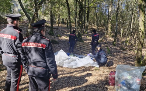 Colpo allo spaccio, smantellata area di bivacco alla Celsa