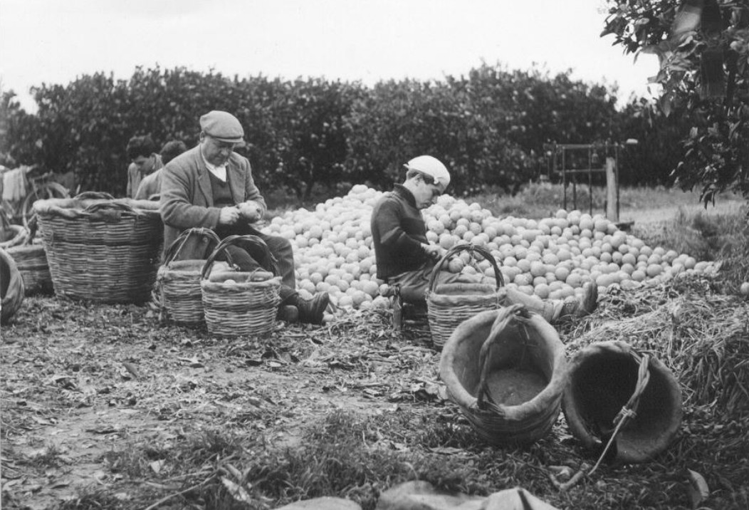 All’Accademia dei Georgofili la mostra fotografica “Frammenti. Immagini dal mondo rurale”