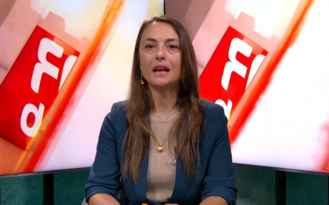 Focus del Giorno: la giornata mondiale delle foreste