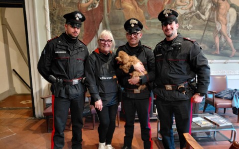 Pescia, barboncino in fuga sulla carreggiata: salvato in extremis dai carabinieri