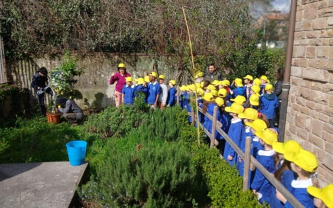 “Piantiamo Salute” nelle scuole: a dimora ulivi, limoni e mimose
