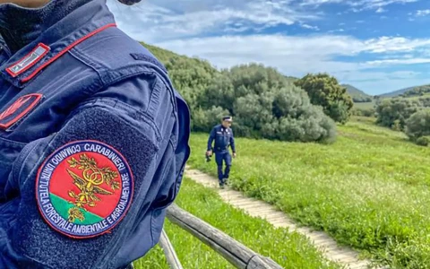 Orti cinesi a Prato, sequestrato un terreno di oltre 14 ettari