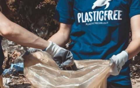 Sofidel e Plastic Free uniscono le forze per la pulizia di Porcari