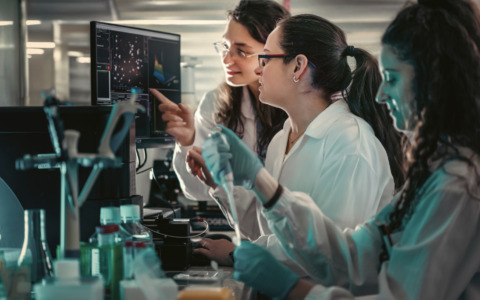 Orientamento, Open day dell’Università di Firenze sui dottorati di ricerca