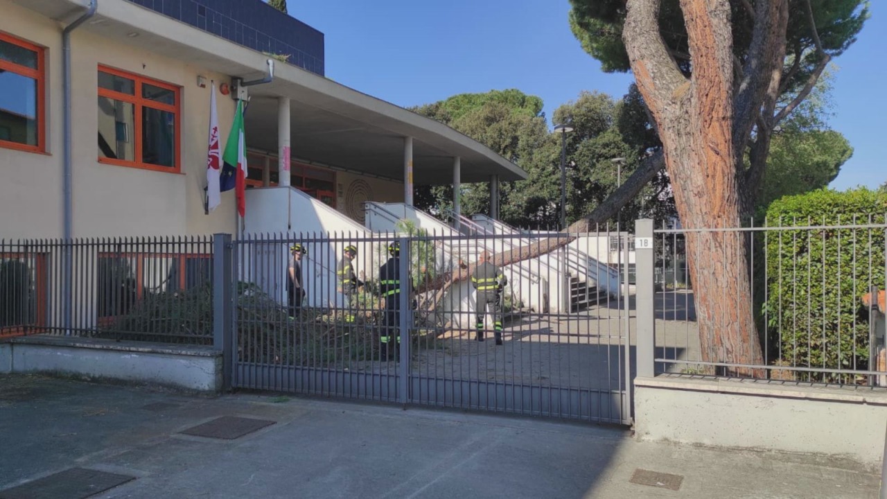 Firenze, grosso ramo cade nel giardino di una scuola (fortunatamente chiusa)