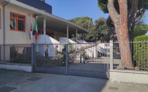 Firenze, grosso ramo cade nel giardino di una scuola (fortunatamente chiusa)