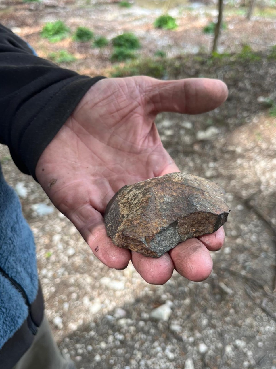 Scoperta sul monte Bondone una nuova meteorite