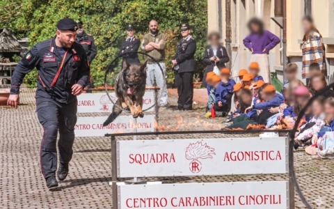 Legalità e sicurezza, studenti in visita alla Compagnia dei carabinieri di Pontassieve
