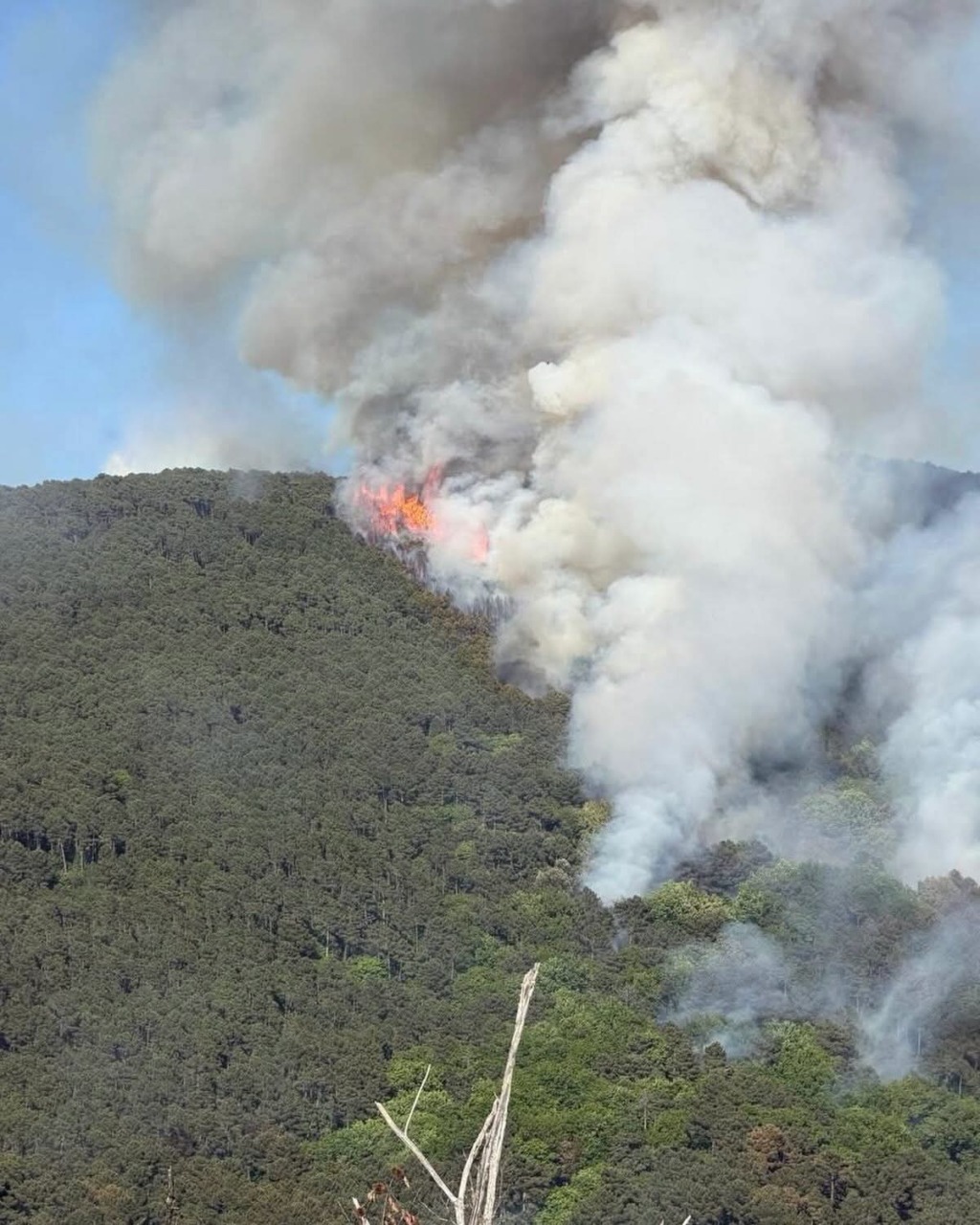 Si allarga l’incendio sul Monte Faeta, paura per il vento