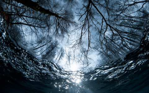 Dall’alluvione alla crisi idriche: gli ultimi 60 anni dell’Arno diventano un’installazione digitali