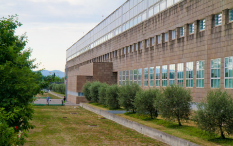 Montevarchi, dossier infrastrutturale per sostenere il punto nascita della Gruccia