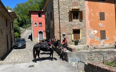 Da Camaiore a Pistoia, in sella al cavallo
