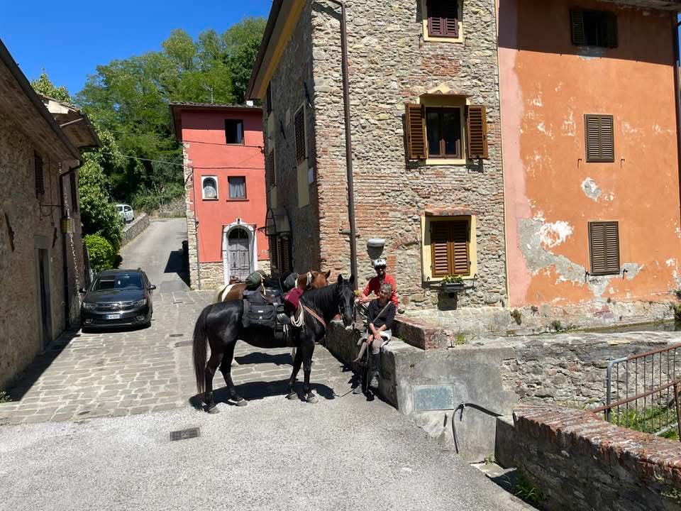 Da Camaiore a Pistoia, in sella al cavallo