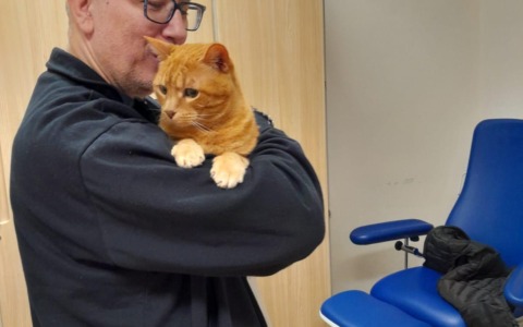 Il Meyer apre le porte al gatto Pitagora: la pet therapy felina debutta in corsia/IL VIDEO