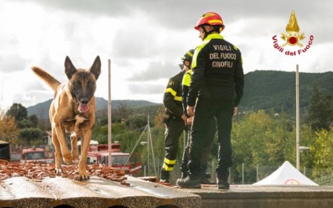 Lucca, corpo di una donna scomparsa da 14 anni: ricerche in corso