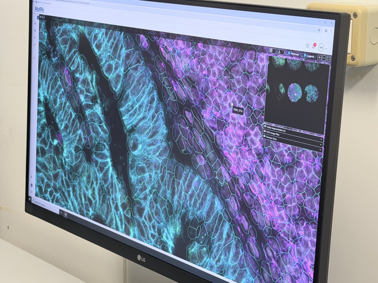 Tecnologia di ultima generazione per le analisi delle cellule