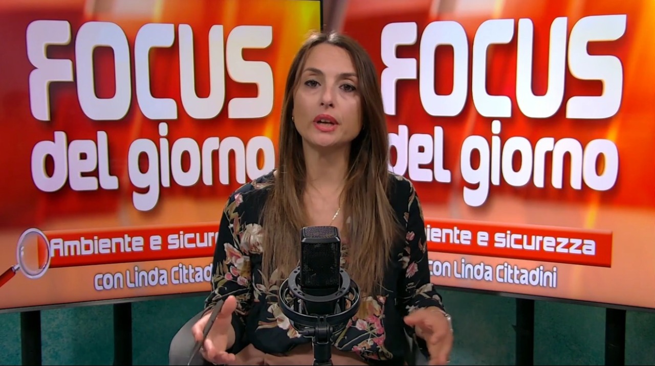 Focus del Giorno: boschi più fragili e meno biodiversità