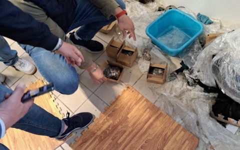 False monete da due euro, in Toscana scoperte due zecche clandestine