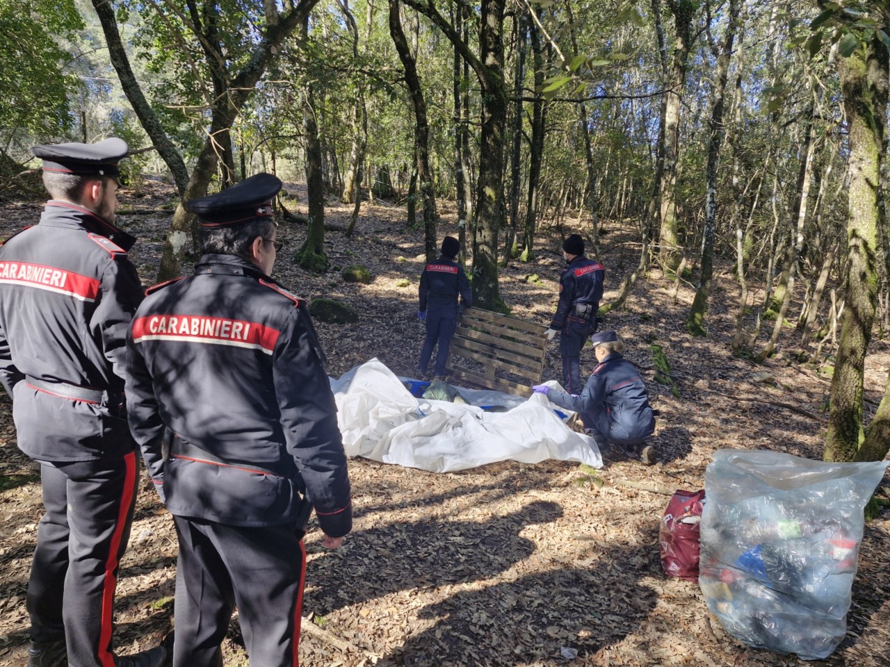 Spaccio boschivo, l’intervento dei Carabinieri
