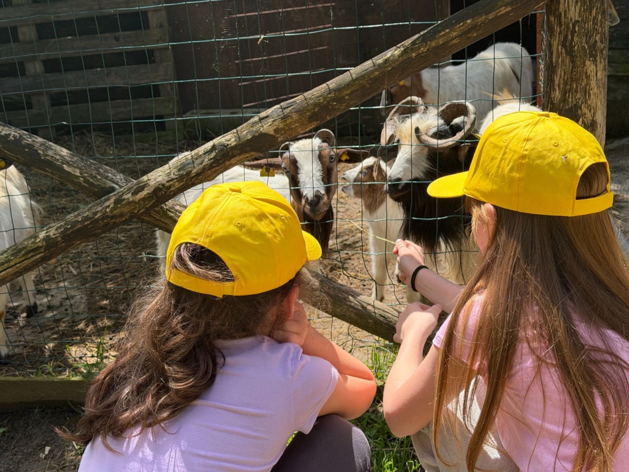 Campus estivi in Toscana: 60 mila famiglie scelgono la svolta “green” in fattoria