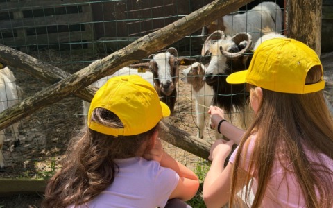 Campus estivi in Toscana: 60 mila famiglie scelgono la svolta “green” in fattoria