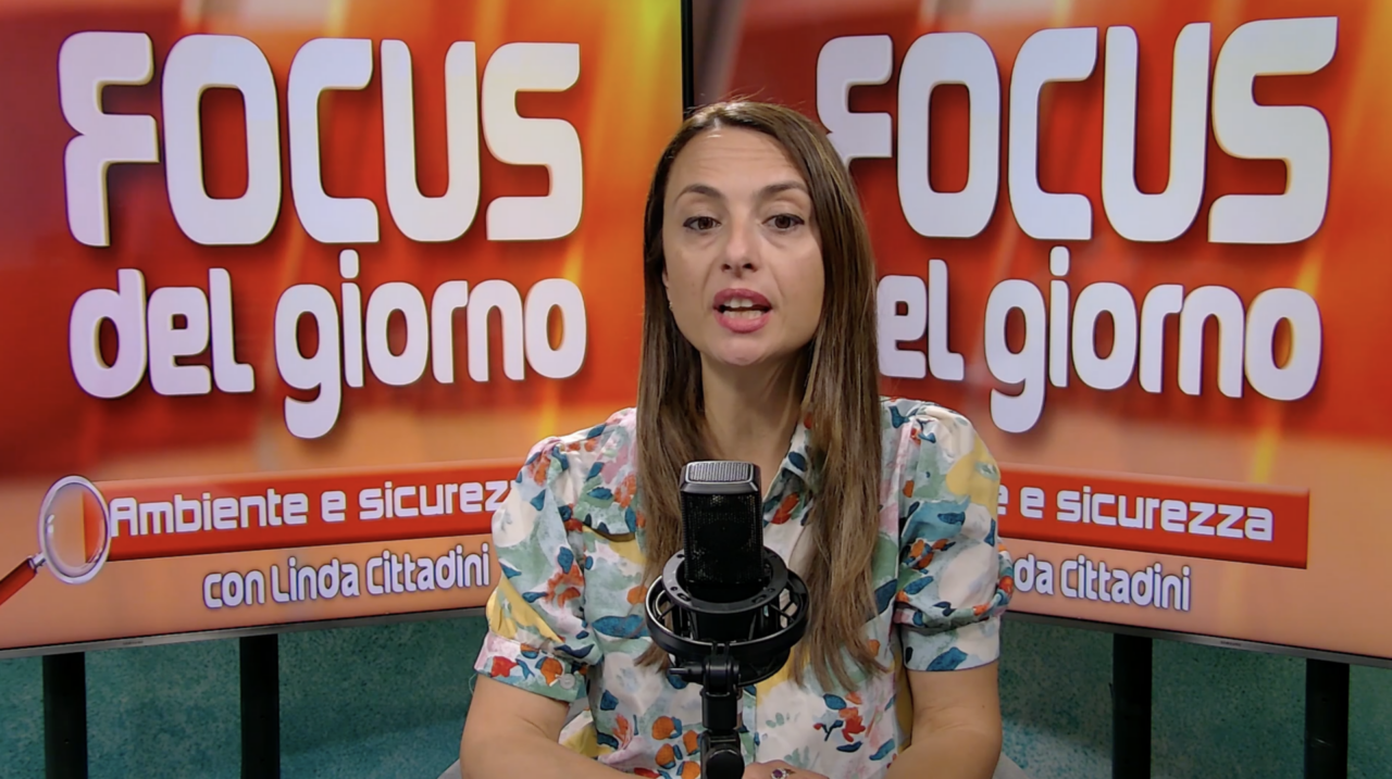 Focus del Giorno: zanzare e pesticidi