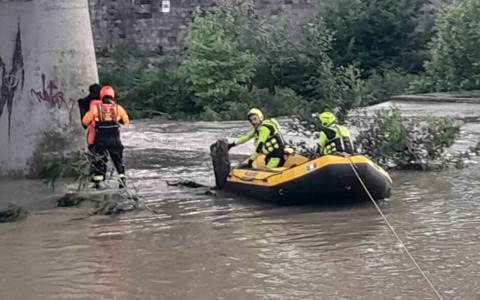 Bloccato dalla corrente sul greto del fiume Bisenzio