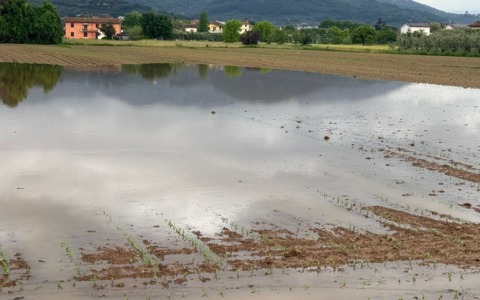 Maltempo, campi sott’acqua nel pistoiese