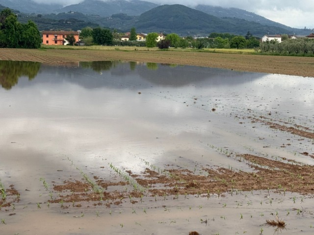 Maltempo, campi sott’acqua nel pistoiese