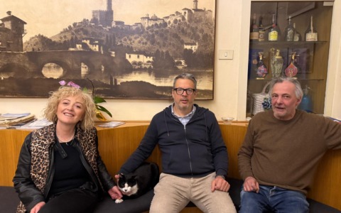 Saverio, il gatto di comunità è diventato una star del web