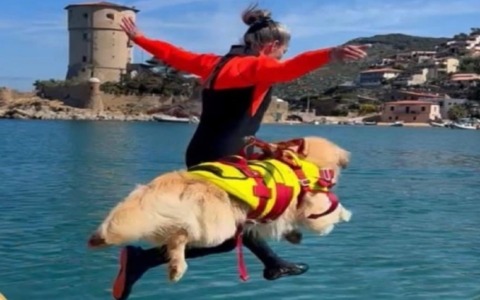 “Pegaso per la solidarietà” alla Scuola Italiana Cani Salvataggio Firenze