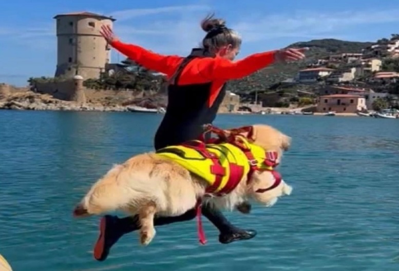 “Pegaso per la solidarietà” alla Scuola Italiana Cani Salvataggio Firenze