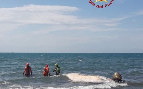 Orbetello, tragedia in spiaggia: donna muore annegata