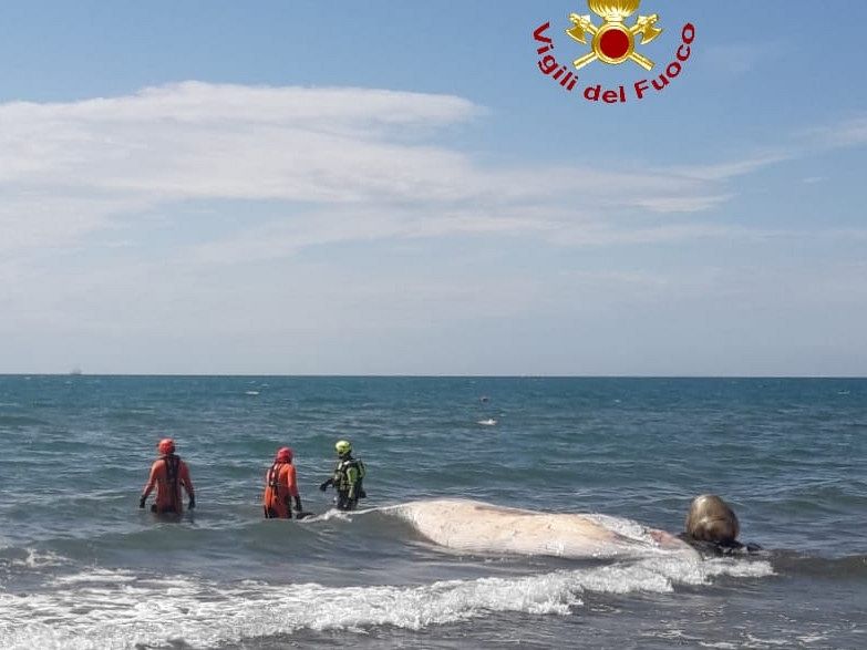 Orbetello, tragedia in spiaggia: donna muore annegata