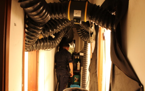 Serre industriali “indoor” per coltivare marijuana, il blitz dei Carabinieri – VIDEO –