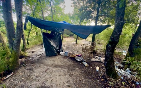 Dentro il bosco delle Cerbaie, il “negozio a cielo aperto” della droga: il blitz dei carabinieri