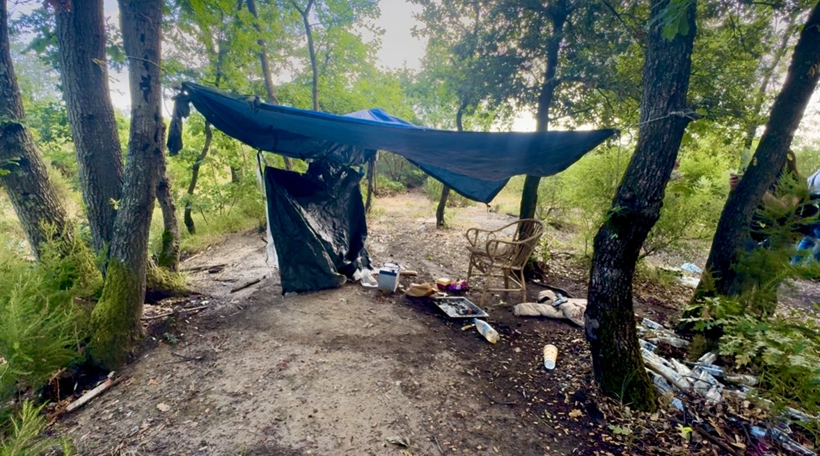 Dentro il bosco delle Cerbaie, il “negozio a cielo aperto” della droga: il blitz dei carabinieri