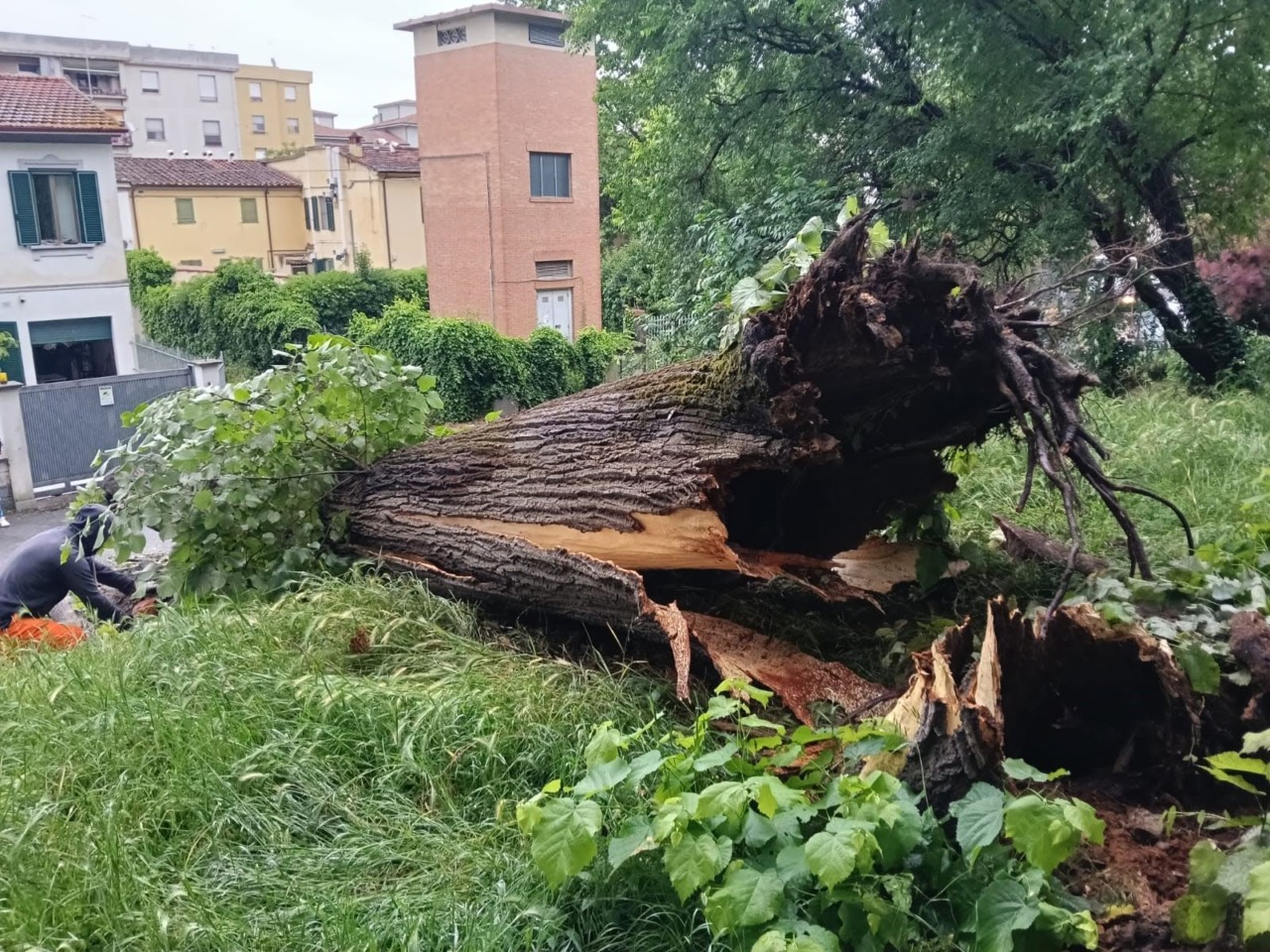 Maltempo, danni e disagi nel pisano e in Versilia: scatta allerta gialla anche per la giornata di mercoledì