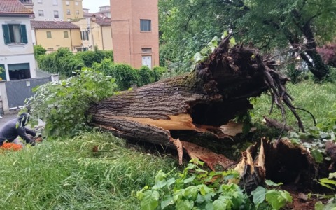 Maltempo, danni e disagi nel pisano e in Versilia: scatta allerta gialla anche per la giornata di mercoledì