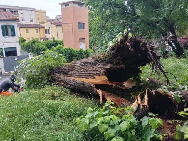Maltempo, danni e disagi nel pisano e in Versilia: scatta allerta gialla anche per la giornata di mercoledì