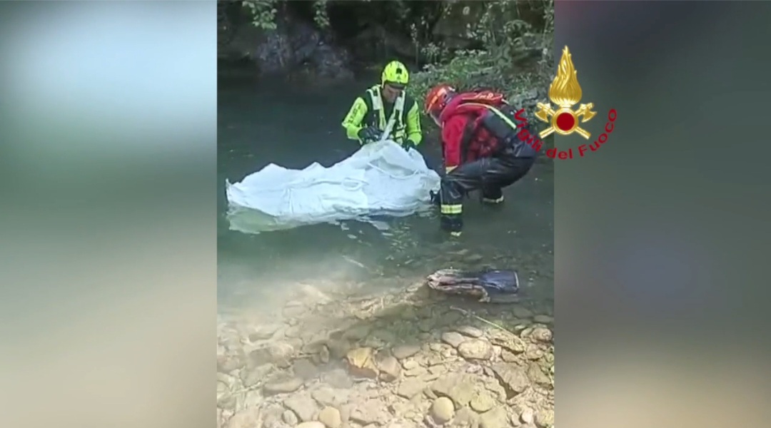 Carcassa di cervo nel torrente Fiumenta