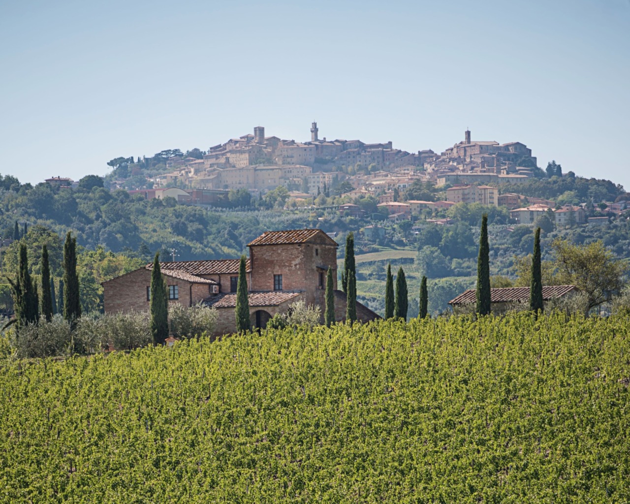 Montepulciano e Università di Siena insieme per il clima: approvato l’accordo per il Piano d’Azione per l’Energia Sostenibile