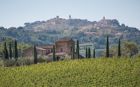 Montepulciano e Università di Siena insieme per il clima: approvato l’accordo per il Piano d’Azione per l’Energia Sostenibile