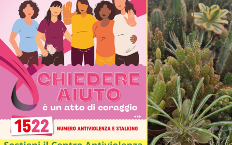 Coldiretti contro la violenza sulle donne. Al Mercato Campagna Amica per promuovere il numero antiviolenza 1522