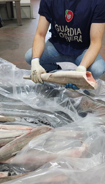 Controlli estivi della Guardia costiera nei ristoranti di pesce e all’ingrosso