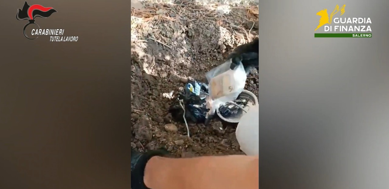 Permessi di soggiorno a pagamento: smantellata organizzazione criminale