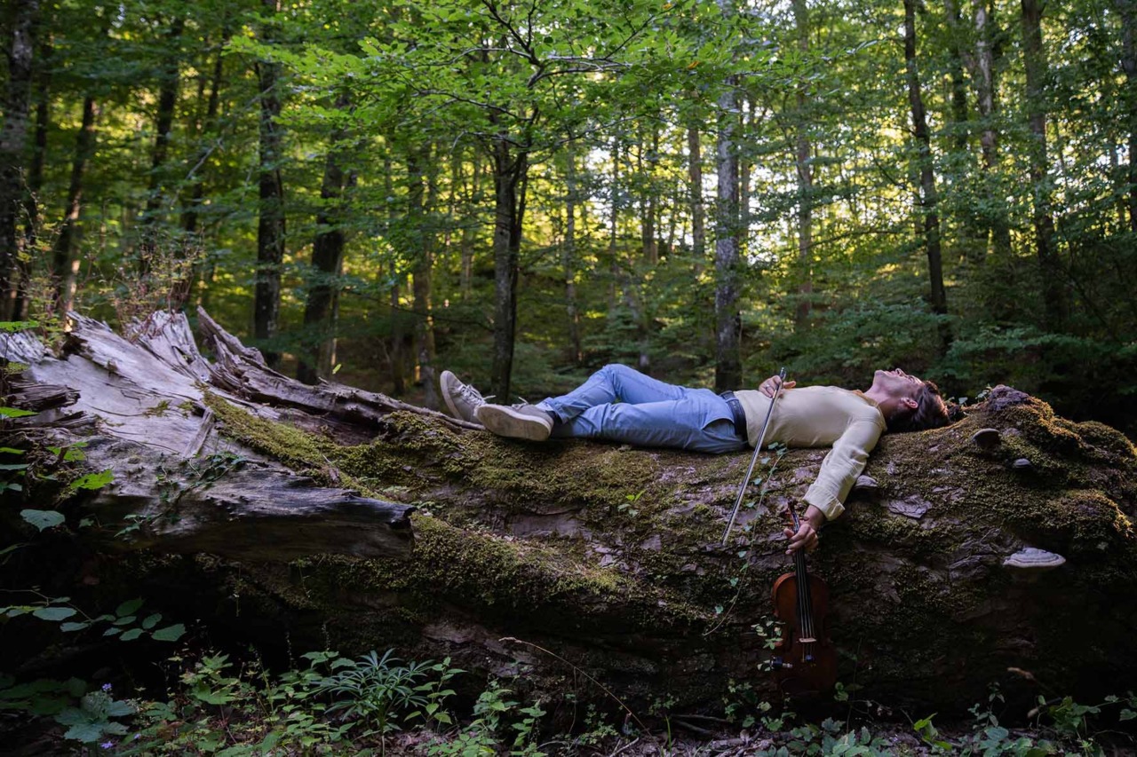 La musica ispirata dalle foreste del Casentino
