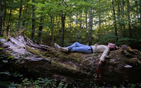 La musica ispirata dalle foreste del Casentino