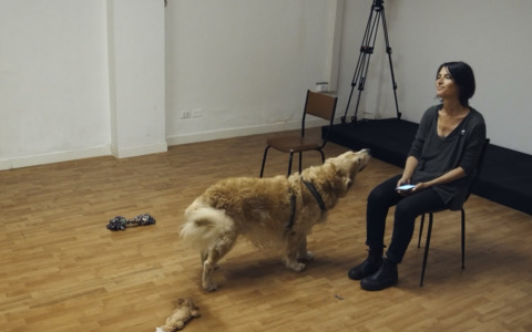 L’esperimento che evidenzia il legame tra cane e chi se ne prende cura