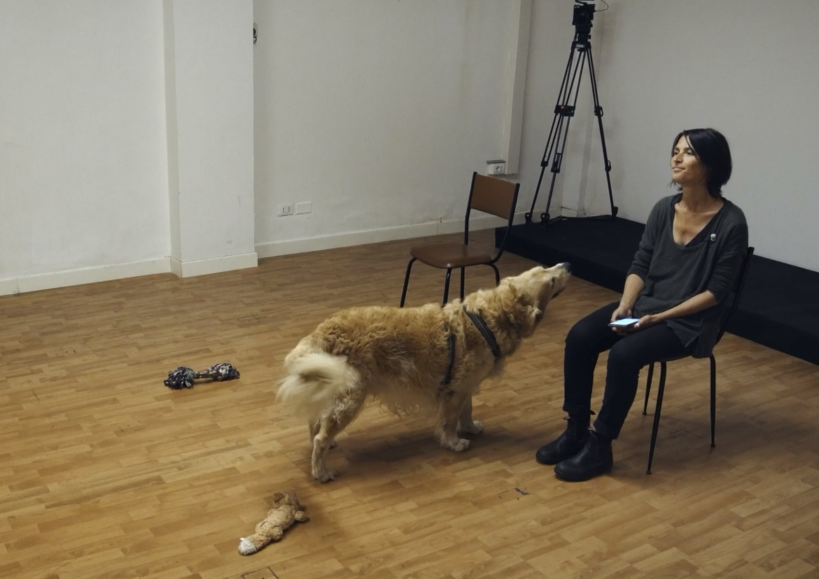 L’esperimento che evidenzia il legame tra cane e chi se ne prende cura